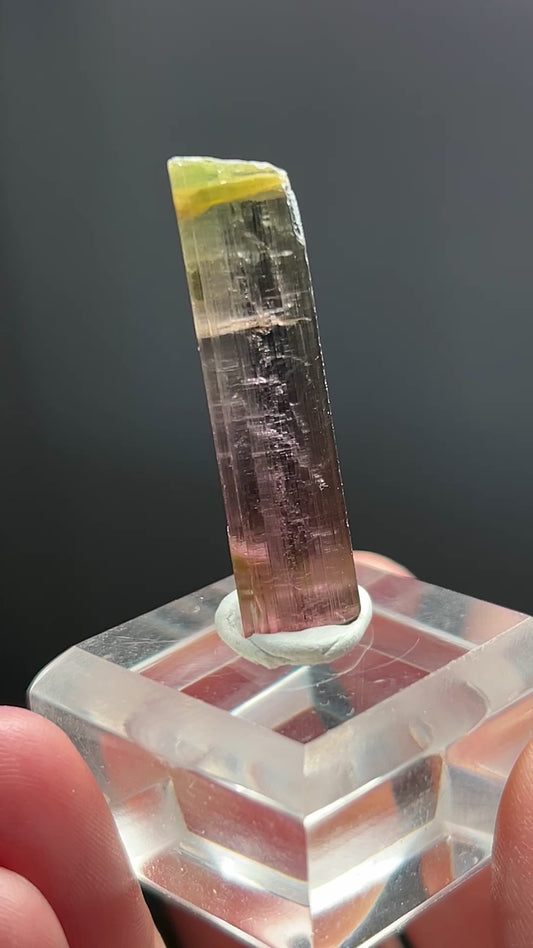 BI-COLOR TOURMALINE