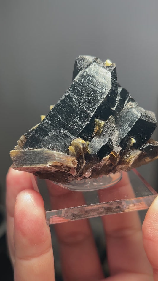 MIDNIGHT BLACK SMOKY QUARTZ WITH MUSCOVITE MICA