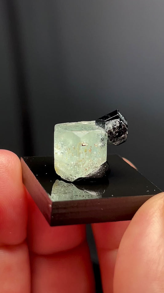 AQUAMARINE WITH SCHORL BLACK TOURMALINE